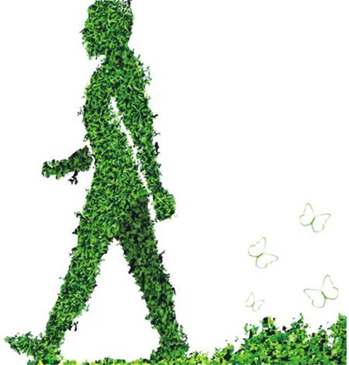 不能不知的11款強室內吸毒植物，裝修房子必備-別墅設計,軟裝設計,室內設計,豪宅設計,深圳例外軟裝設計公司