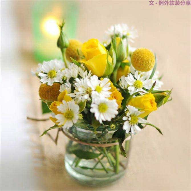 【例外.花箋記】金槌花，敲打在心間的小鼓槌！-別墅設計,軟裝設計,室內(nèi)設計,豪宅設計,深圳例外軟裝設計公司