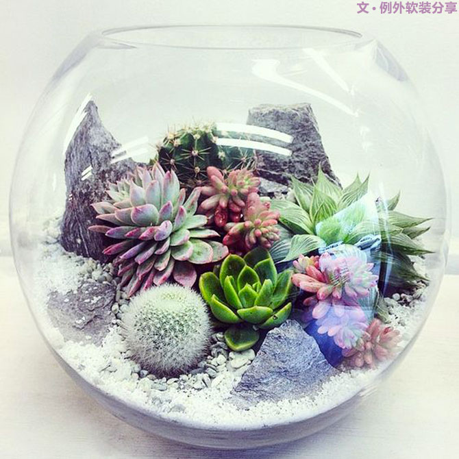 地球人都得了一種，看見“她”就想抱回家養的病！-別墅設計,軟裝設計,室內設計,豪宅設計,深圳例外軟裝設計公司