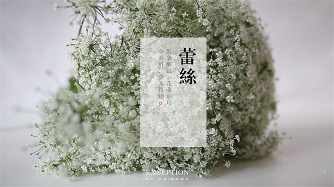 【幾分鐘.軟裝課堂】她用3分鐘搞定一個浪漫花球，就憑這些？-別墅設(shè)計(jì),軟裝設(shè)計(jì),室內(nèi)設(shè)計(jì),豪宅設(shè)計(jì),深圳例外軟裝設(shè)計(jì)公司